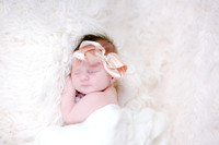 Dibble Newborns